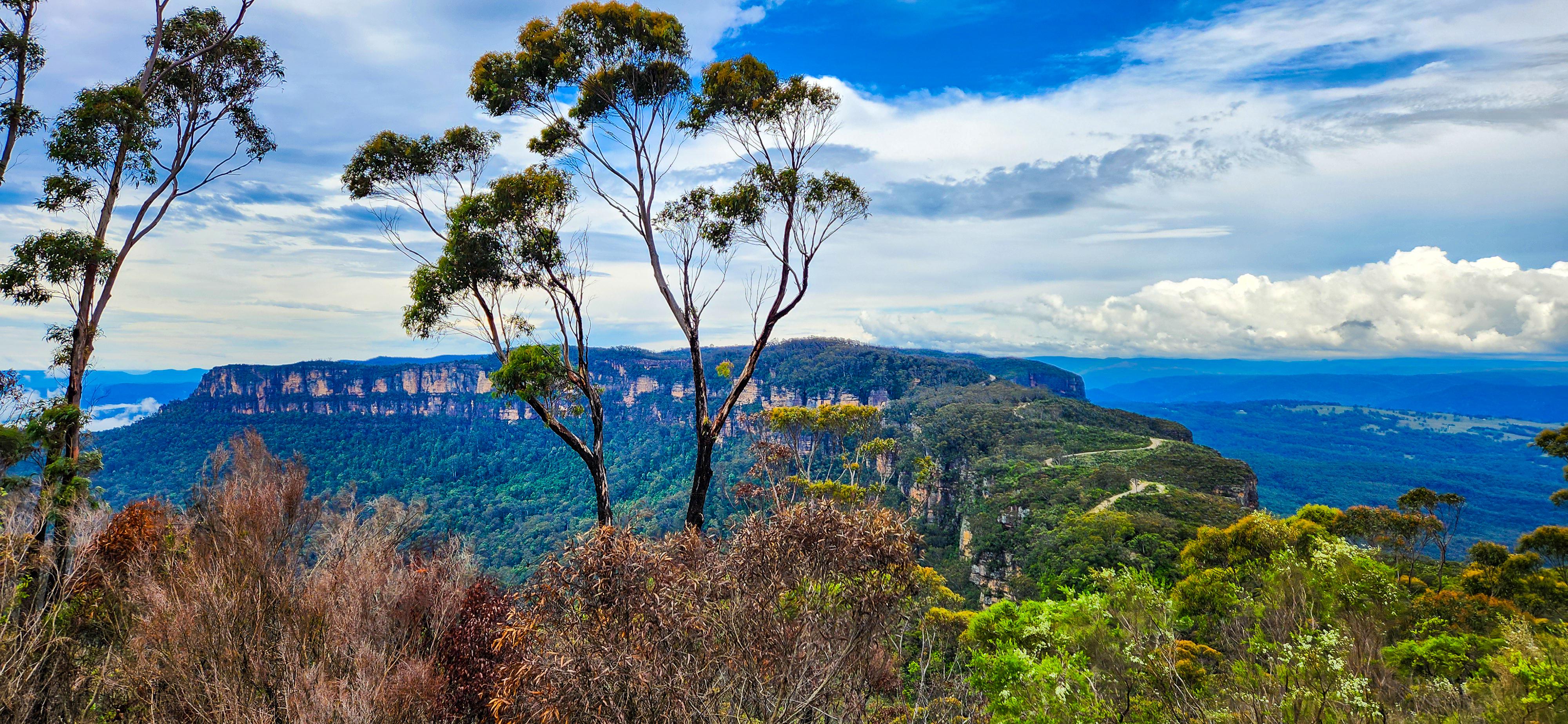 Narrow Neck Lookout